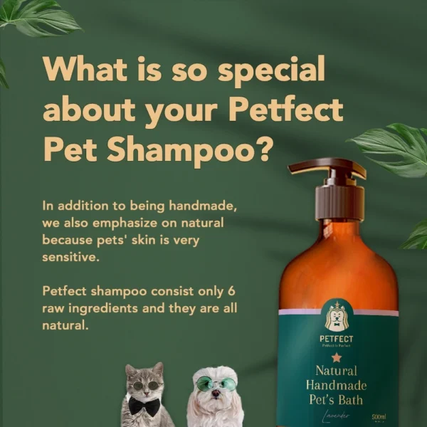 e1f214f897e213d07e9b11db7d2d7030-1.webp Handmade Natural Pet Shampoo Dog Shampoo Cat Shampoo Bath Shower