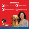 Drools Daily Nutrition Chicken and Egg Adult 3KG   Dog food