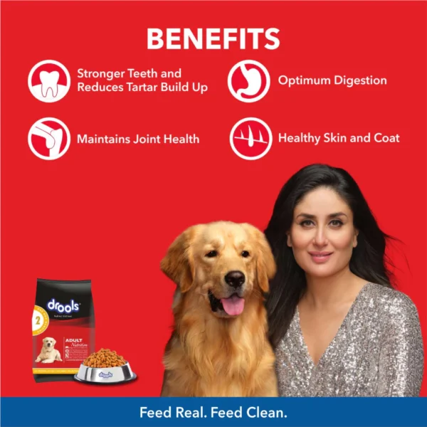 Drools Daily Nutrition Chicken and Egg Adult 3KG   Dog food