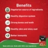 DROOLS 100  VEGETARIAN DRY DOG FOOD