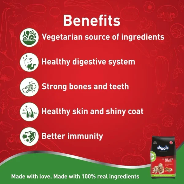 DROOLS 100  VEGETARIAN DRY DOG FOOD