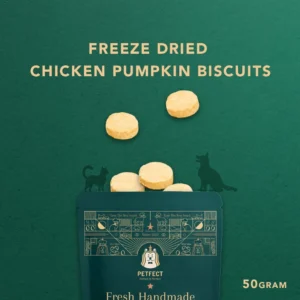 Freeze dried Chicken Pumpkin Biscuits  Pet Snack  Dog snack and Cat snack  Pet Treats