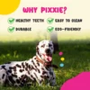 PIXXIE Dog Rubber Bone
