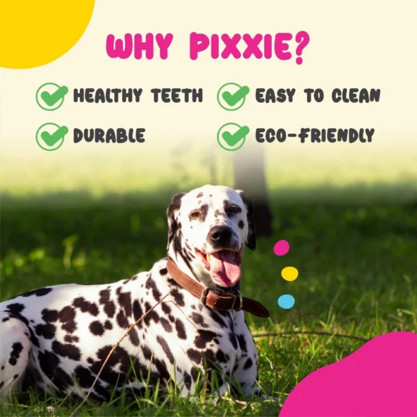 PIXXIE Dog Rubber Bone