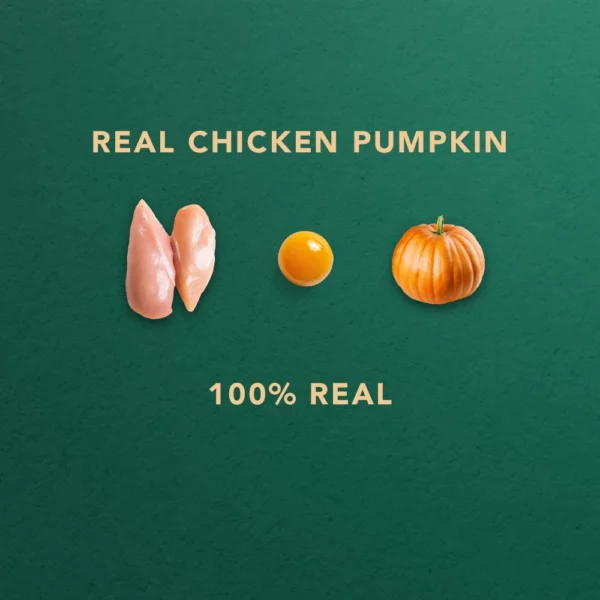 Freeze dried Chicken Pumpkin Biscuits  Pet Snack  Dog snack and Cat snack  Pet Treats