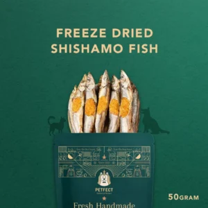 Freeze Dried Shishamo Fish  Pet Snack  Dog snack and Cat snack  Pet Treats