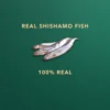 Freeze Dried Shishamo Fish  Pet Snack  Dog snack and Cat snack  Pet Treats