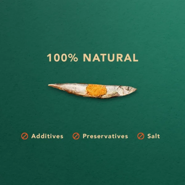 Freeze Dried Shishamo Fish  Pet Snack  Dog snack and Cat snack  Pet Treats