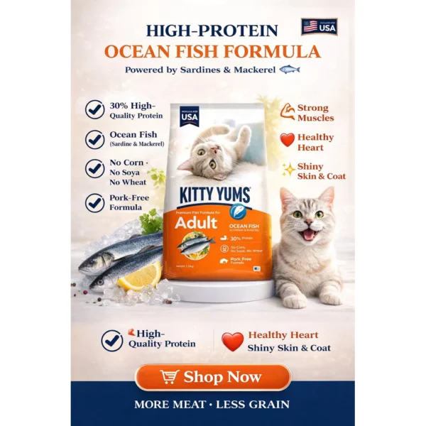 my-11134207-820l4-mkdtw0d761hjbf.webp KITTY YUMS CAT FOOD ADULT 1.2KG