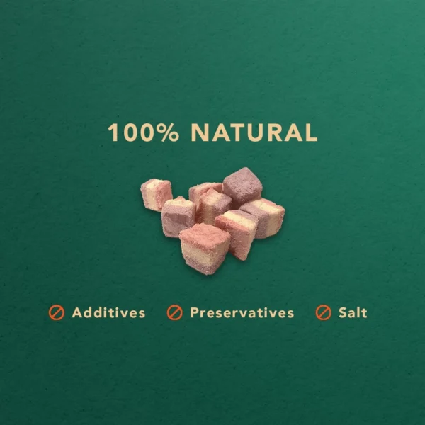 Freeze Dried Berries Cube  Pet Snack  Dog snack and Cat snack  Pet Treats