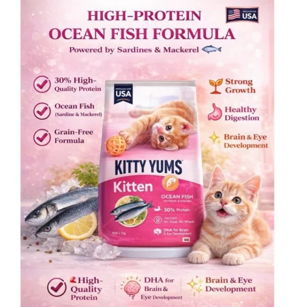 Kitty Yums Kitten Food 1.2KG
