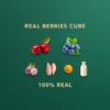 Freeze Dried Berries Cube  Pet Snack  Dog snack and Cat snack  Pet Treats