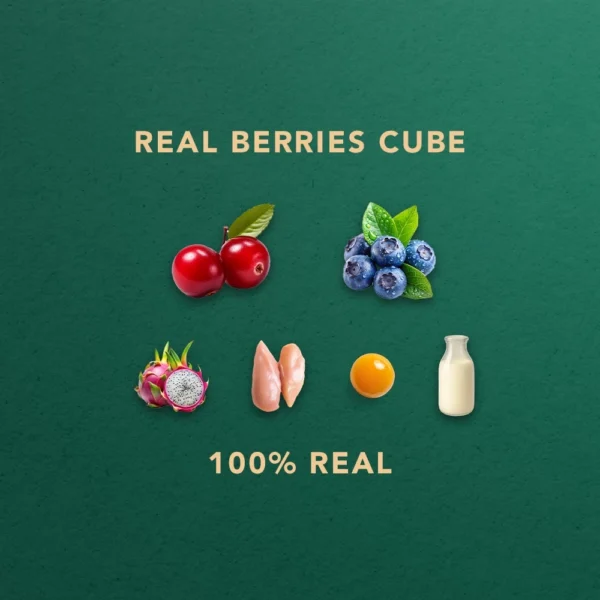 Freeze Dried Berries Cube  Pet Snack  Dog snack and Cat snack  Pet Treats