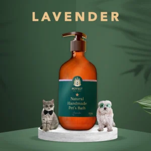 Handmade Natural Pet Shampoo Dog Shampoo Cat Shampoo Bath Shower