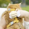 Adjustable Cat and Dog Chest and Back Small Bee Lead with Breathable Design