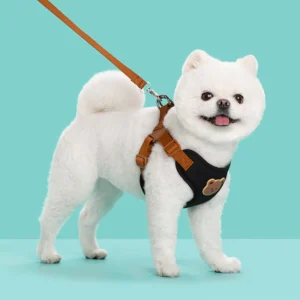 Cat Dog Strap Adjustable Vest Walking Leash Puppy Dog Collar Polyester Mesh Strap Suitable for Small Medium Pets