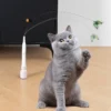 Cat Teasing Toy Interactive Butterfly Toy Removable Feather Cat Wand