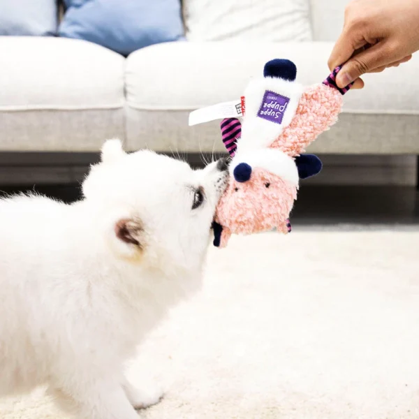 Dog Toy Teeth Grinding Toy