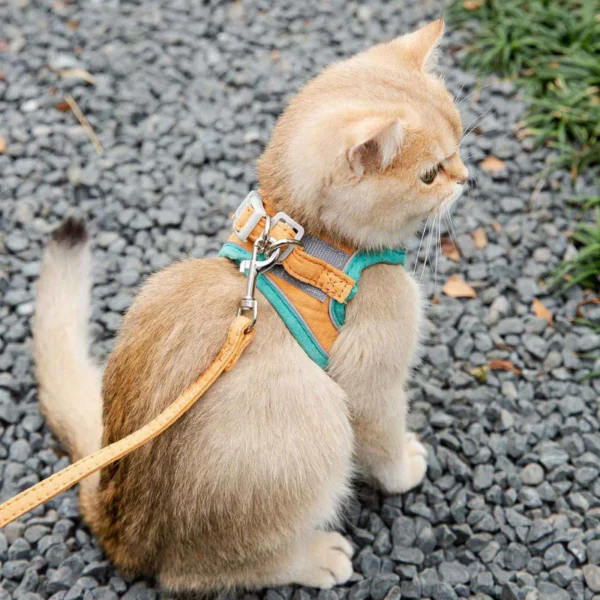 Anti Escape Vest Style Cat Harness Leash for Kittens  Safety Buckle  Reflective Pet Walking Strap