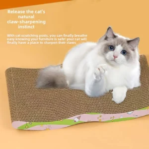 Cat Scratching Board Cat Toy Cat Claw Toy Free Catnip Cat Climbing and Scratching Toy Cat Fun Scratching Board