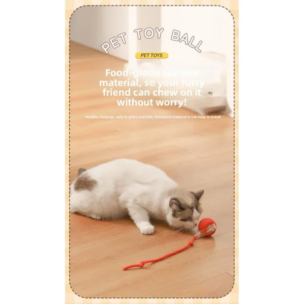 Cat toy ball  interactive pet toy with a mesh tail and foil pieces  USB rechargeable  three speeds with squeaky sound  suitable for dogs