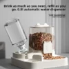 2.6L Automatic Cat Feeder and Water Dispenser 2 in 1 with Removable Bowl