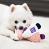 Dog Toy Teeth Grinding Toy