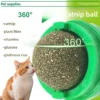 Catnip ball  catnip  cat snack  cat toy