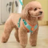Soothing tool for self pleasure  duck  pet  puppy  plush toy  big dog  grinding teeth  bite resistant product